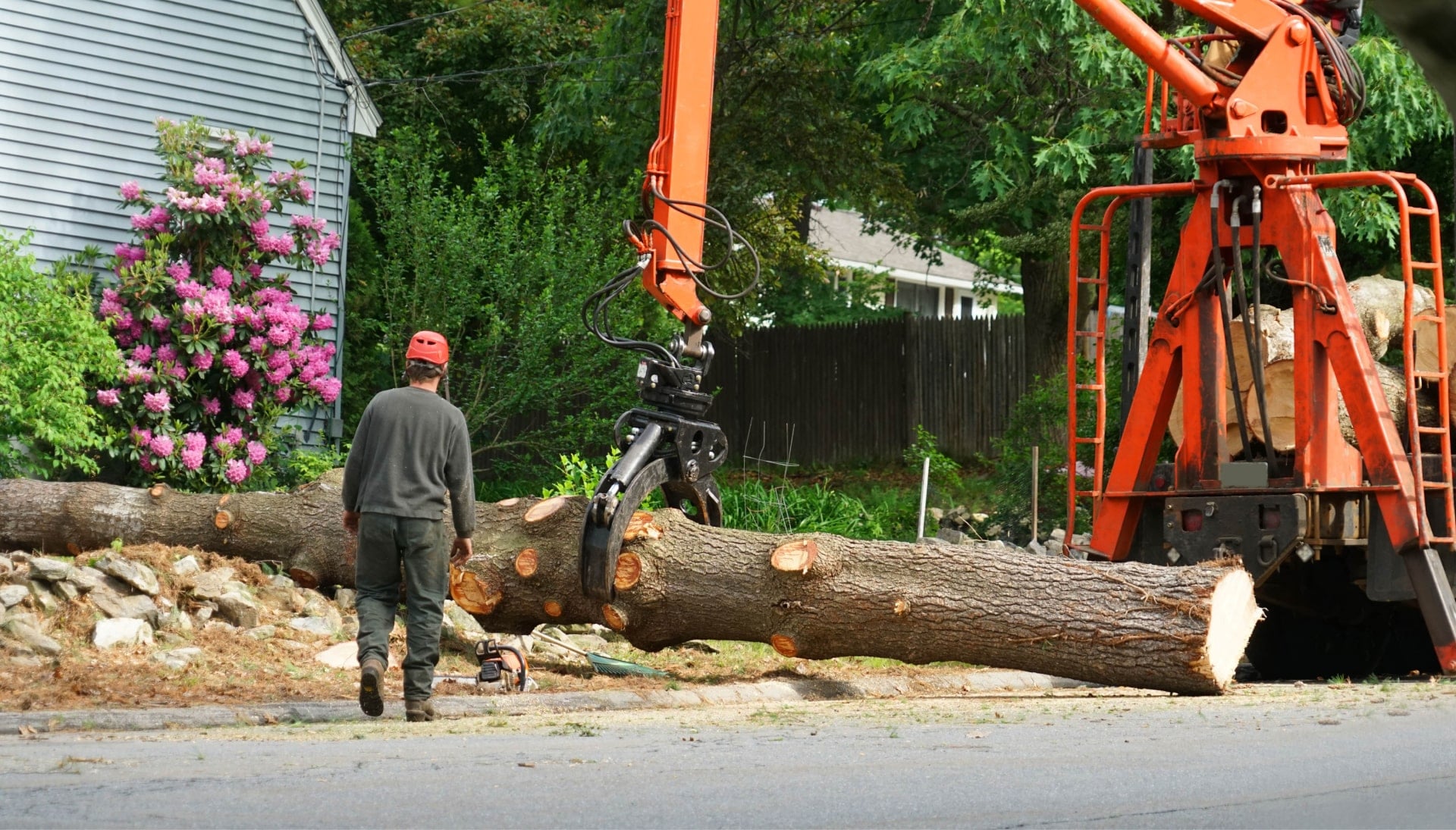 Local partner for Tree removal services in New Jersey