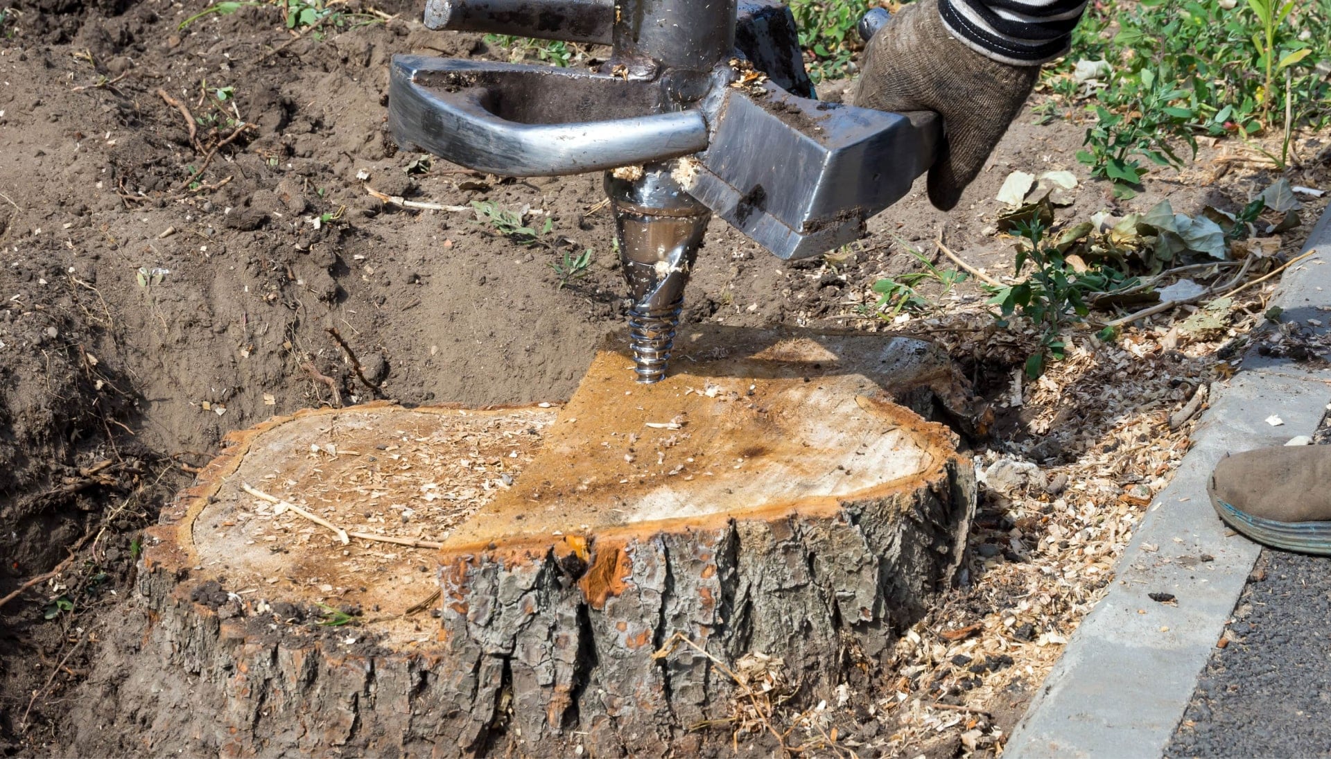New Jersey Tree stump removal